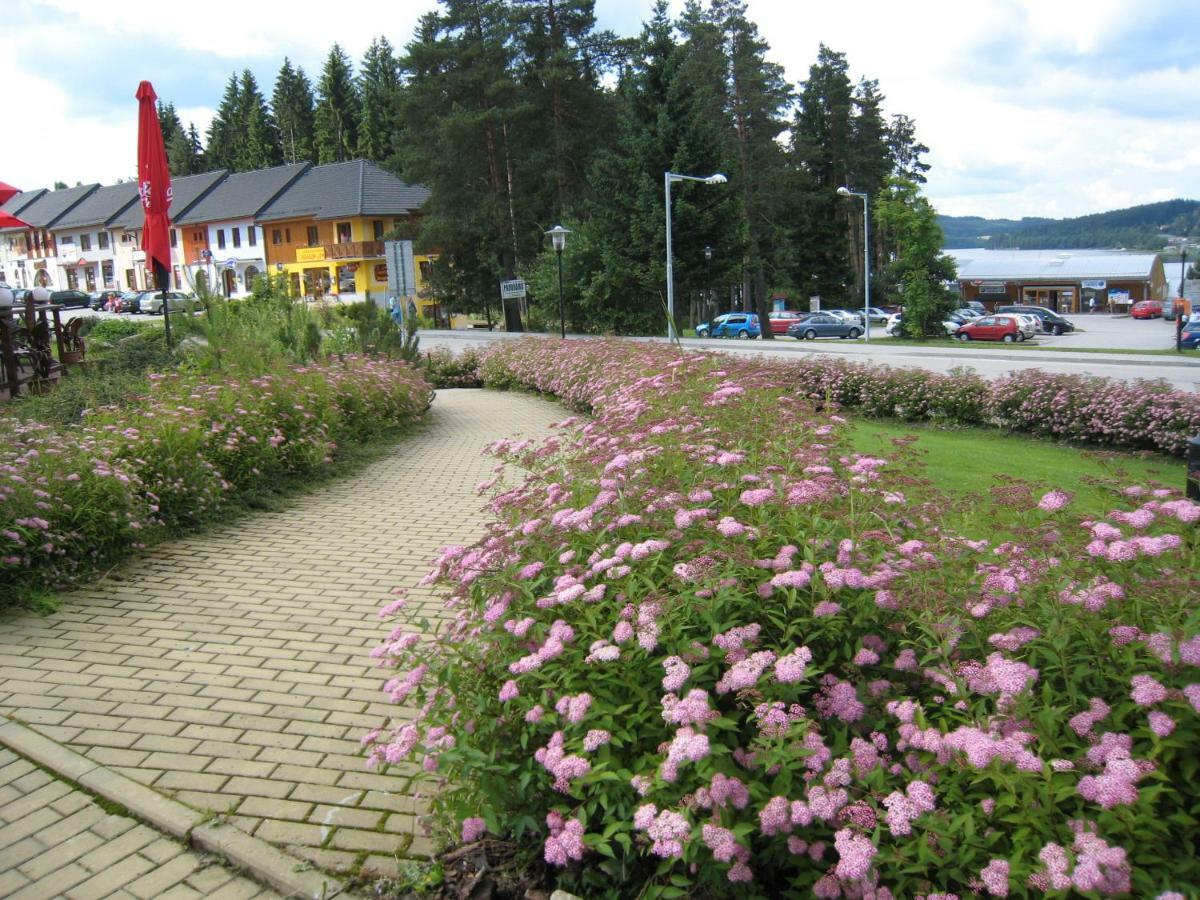 Apartman Riviera Apartment Lipno nad Vltavou Luaran gambar