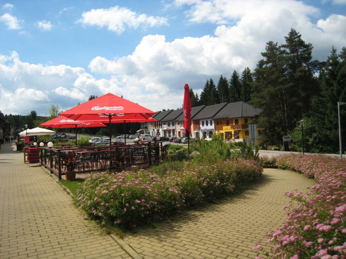 Apartman Riviera Apartment Lipno nad Vltavou Luaran gambar
